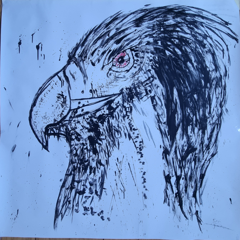 Images artistiques mes realisations peinture piment fou 2025 oiseaux 800px