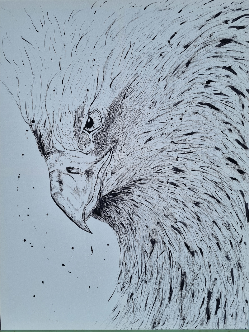 Images artistiques realisations peintures rapace 202509 800px